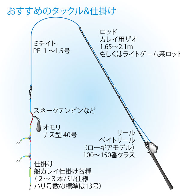 カレイ釣りの仕掛けなどのセット